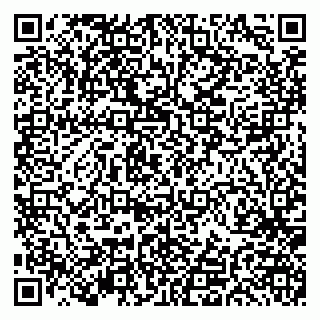 vCard 79191380130