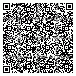 vCard 79191380131