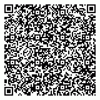 vCard 79191380132