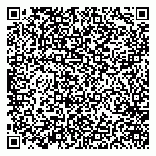 vCard 79191380133