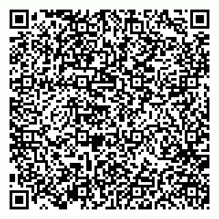 vCard 79191380135
