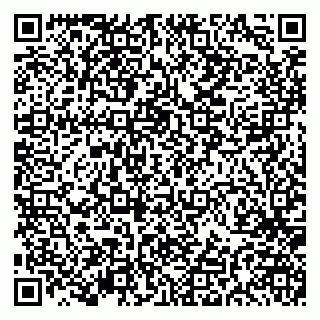 vCard 79191380137