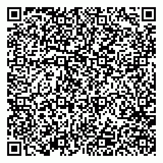 vCard 79191380138