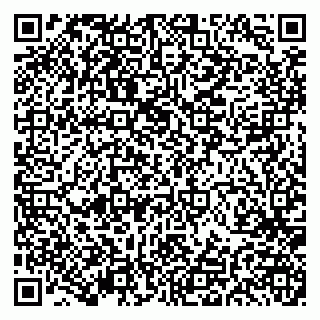 vCard 79191380141