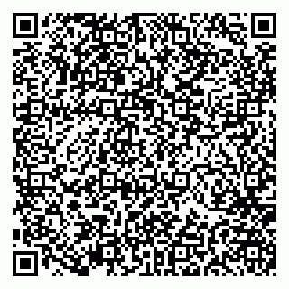 vCard 79191380143