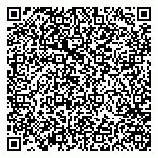 vCard 79191380147