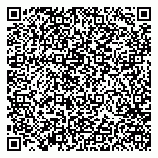 vCard 79191380155