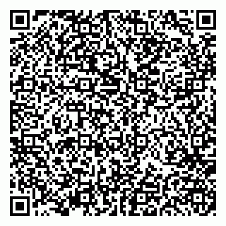 vCard 79191380161