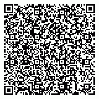 vCard 79191380163