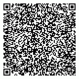 vCard 79191380171