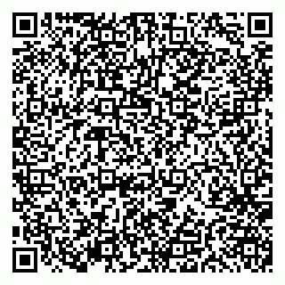 vCard 79191380172