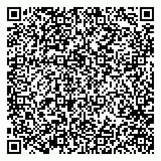 vCard 79191380175