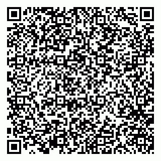 vCard 79191380176