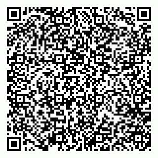 vCard 79191380181