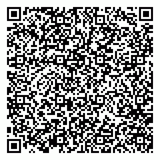 vCard 79191380184
