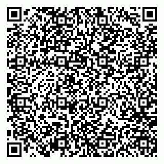 vCard 79191380185