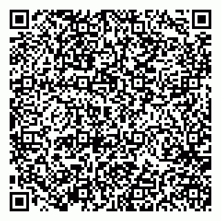 vCard 79191380193