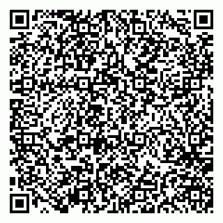 vCard 79191380197