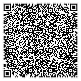 vCard 79191380198