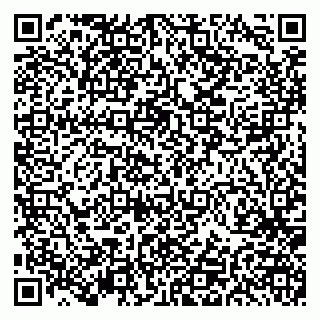 vCard 79191380199