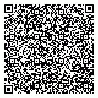vCard 79191380201
