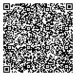vCard 79191380203
