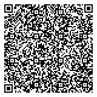 vCard 79191380204