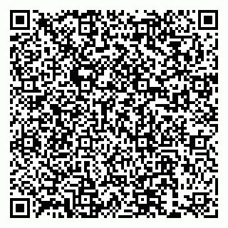 vCard 79191380205