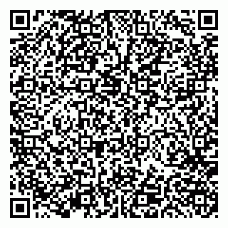 vCard 79191380208
