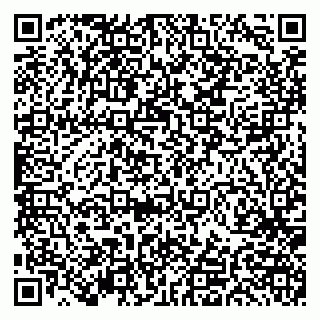 vCard 79191380210