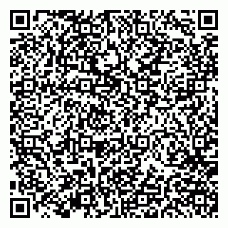 vCard 79191380211