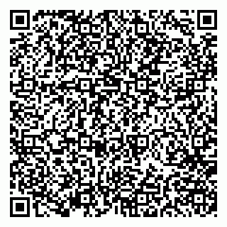 vCard 79191380213