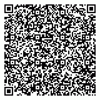 vCard 79191380215