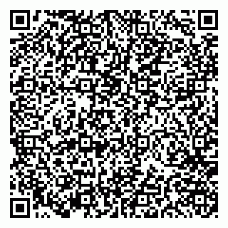 vCard 79191380217