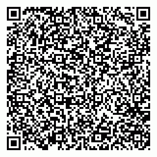 vCard 79191380219