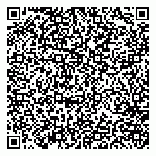 vCard 79191380221