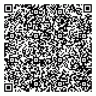 vCard 79191380222