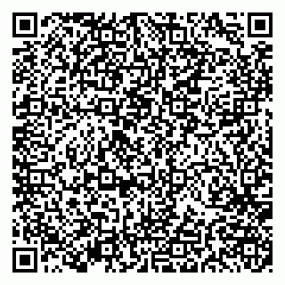vCard 79191380223
