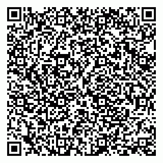 vCard 79191380231