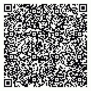 vCard 79191380234