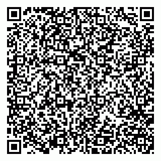 vCard 79191380239