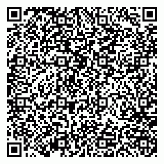 vCard 79191380240