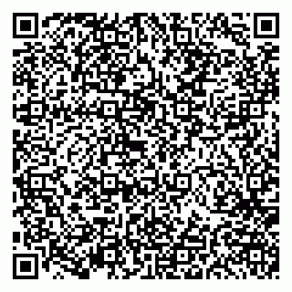 vCard 79191380245