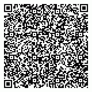 vCard 79191380251