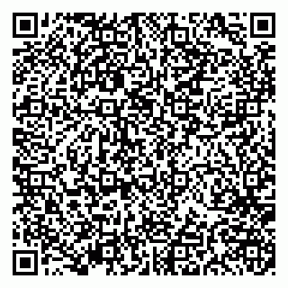 vCard 79191380267