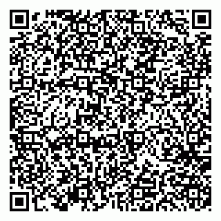 vCard 79191380270