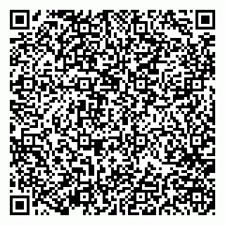 vCard 79191380273