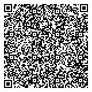 vCard 79191380287