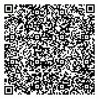 vCard 79191380288