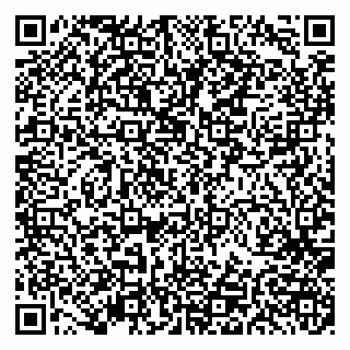 vCard 79191380289